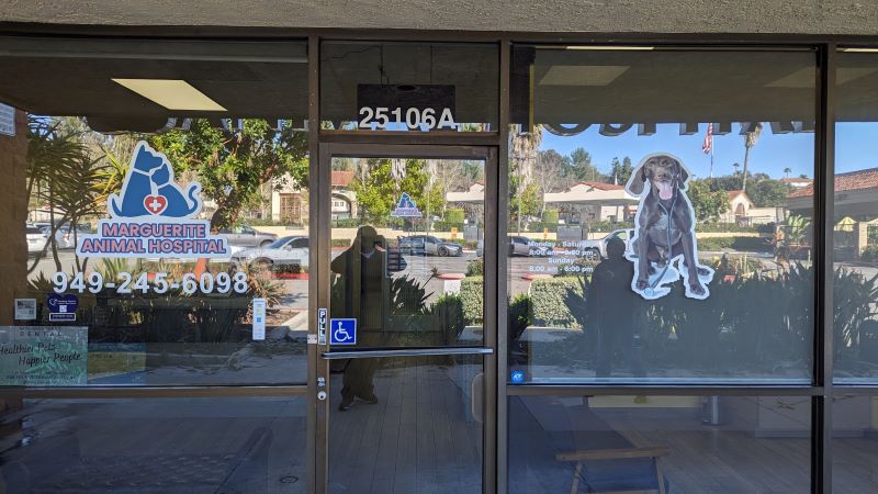 window graphics  wall graphics